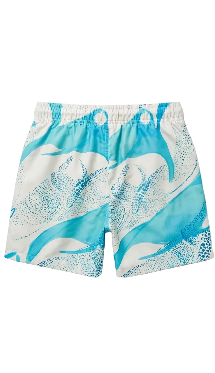 Designer Blue Ray swim shorts for men with adjustable drawstring, elastic waistband, custom fit and plus sizes. Comfortable swimwear for summer adventures.