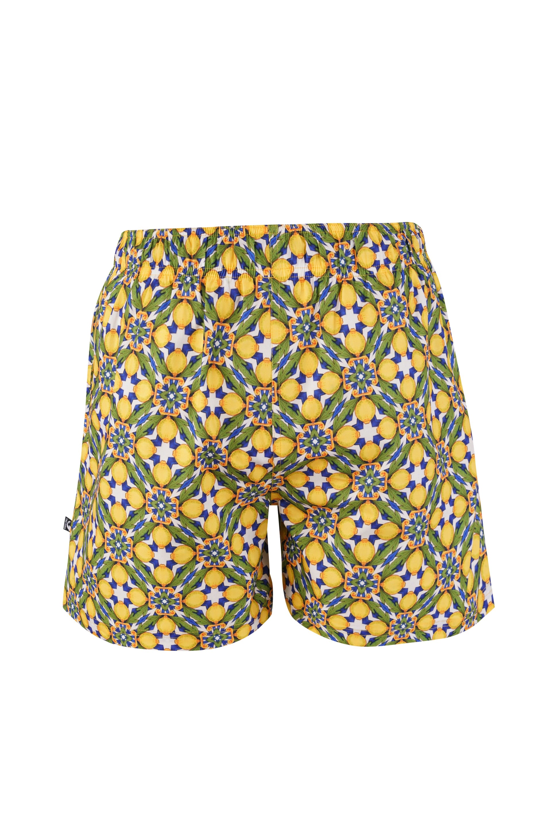 Boys Amalfi lemon print swim shorts with elastic waistband, lightweight Mediterranean beach and holiday wear