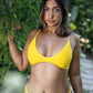 Salacia
